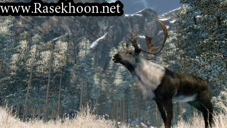 بازی رایگان کامپیوتري شکار گوزن Cabelas Outdoor Adventures 2010 بازی رایگان کامپیوتري شکار گوزن Cabelas Outdoor Adventures 2010