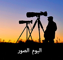 البوم الصور