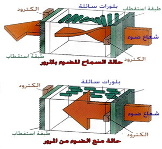  شاشات البلورات السائلة LCD