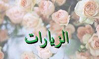 الزيارات