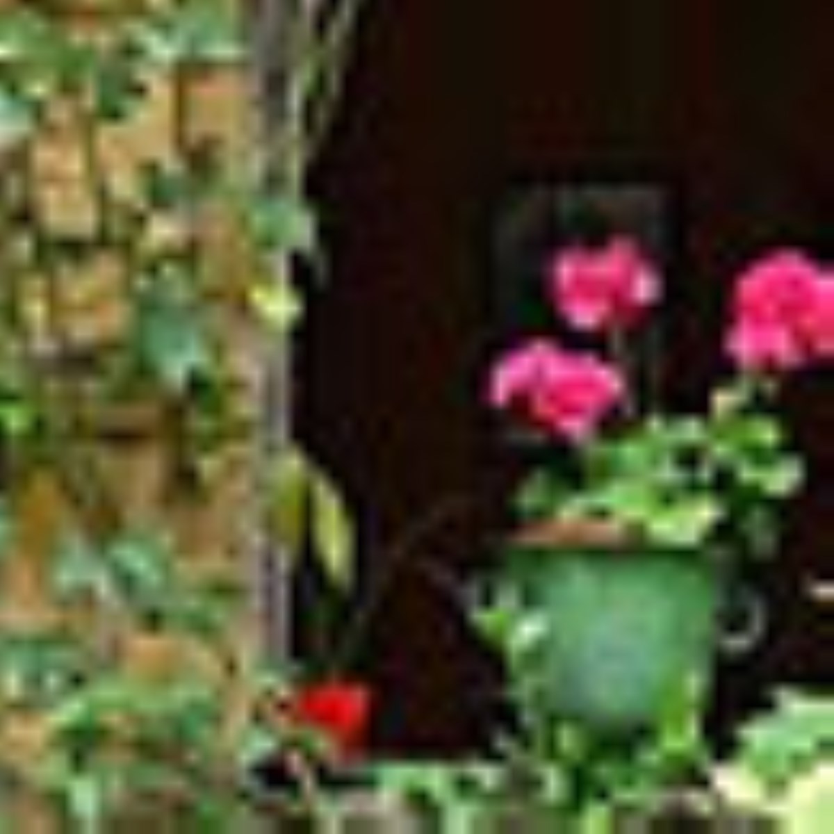 پيك سلامتي - ويژه نامه روز جهاني بهداشت