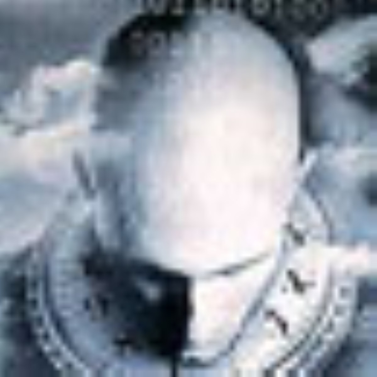 ویژه نامه ایسم ها