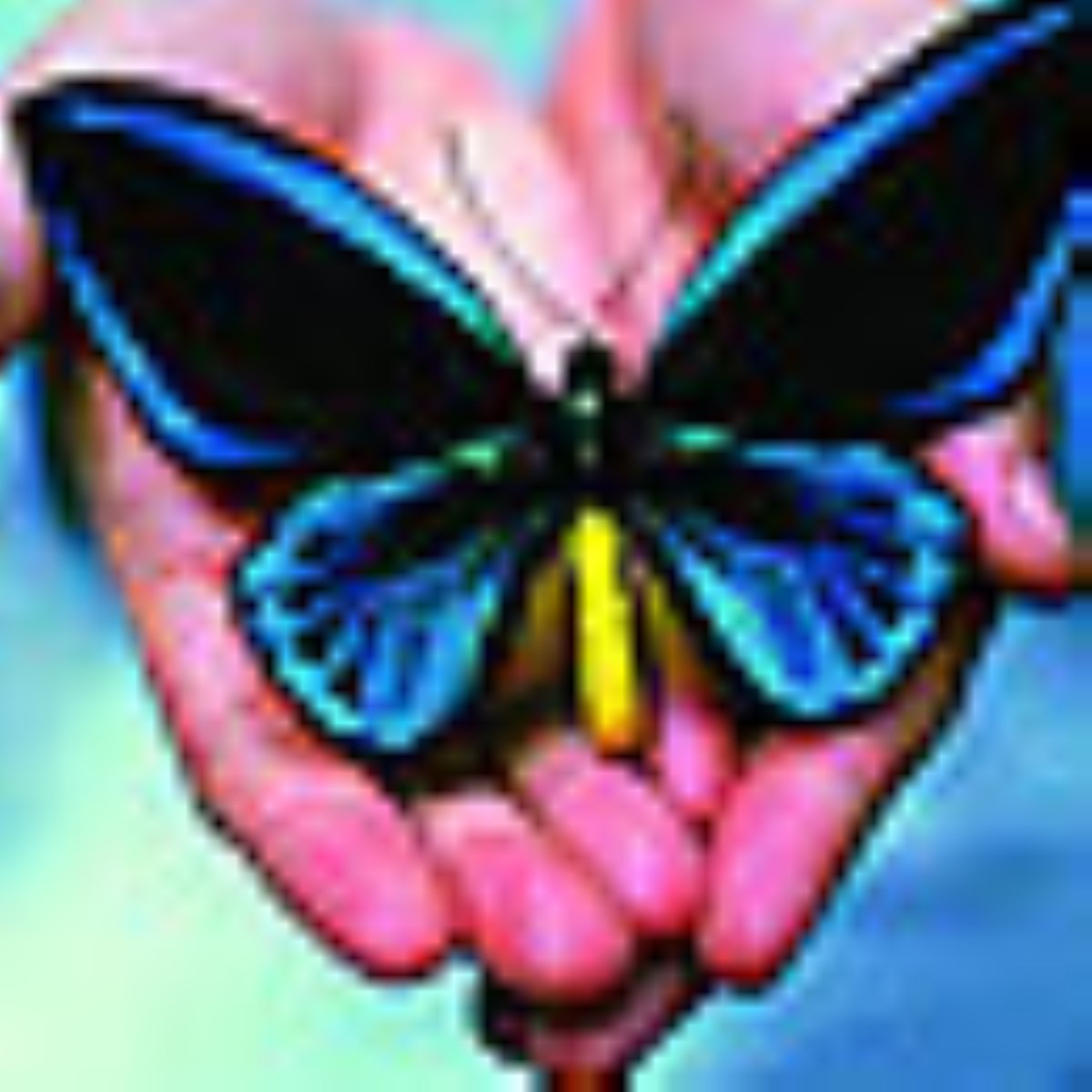 پيك سلامتي - ويژه نامه روز جهاني بهداشت