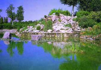  ثقافة حفظ البیئة