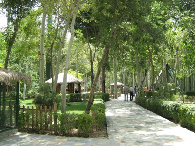  ثقافة حفظ البیئة