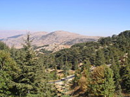  لبنان