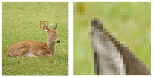 الکامیرا الرقمیة