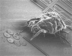 عمل النانوتکنولوجی