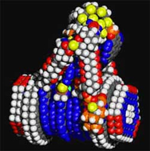 عمل النانوتکنولوجی