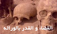 القضاء والقدر بالوراثة