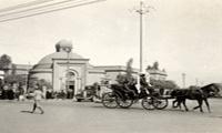 البهلول والرشيد