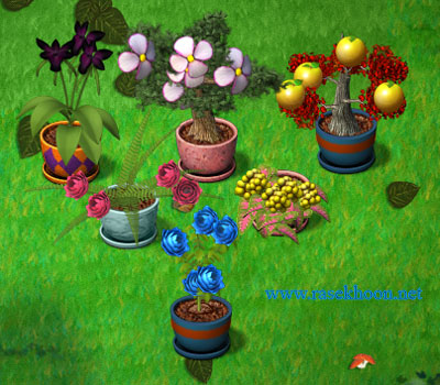 بازی پرورش، نگهداری و فروش کاکتوس Plant Tycoon بازی پرورش، نگهداری و فروش کاکتوس Plant Tycoon