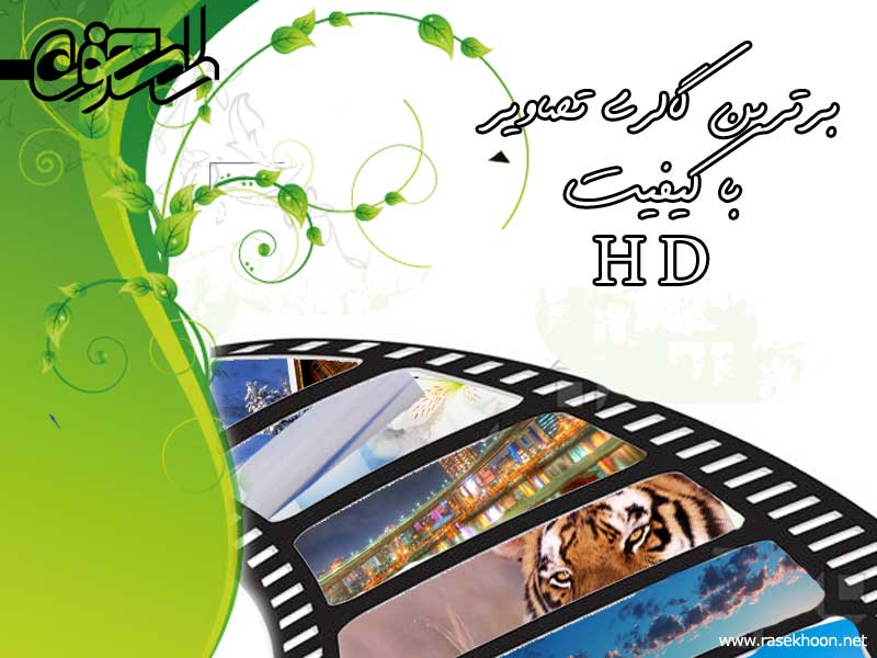 گالری تصاویر گالری تصاویر